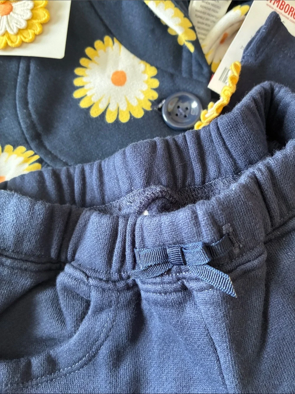 Gymboree Daisy Days Set. Hooded Jacket, Fleece Pants, Socks, Hair Clips.